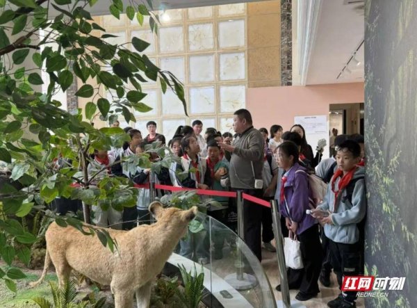 创牛配资 湖南省青羊湖国有林场举行生物多样性体验馆揭牌仪式