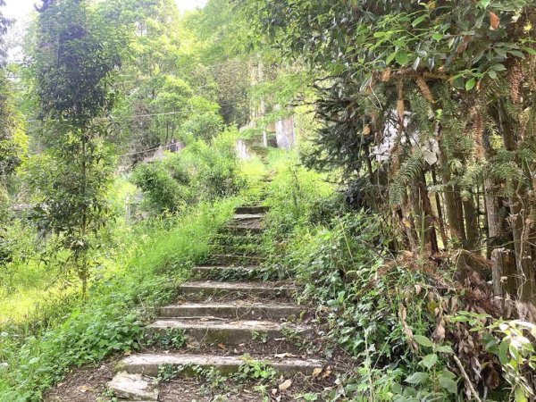 东启网 芦山这座古墓，大有来头你知道吗？