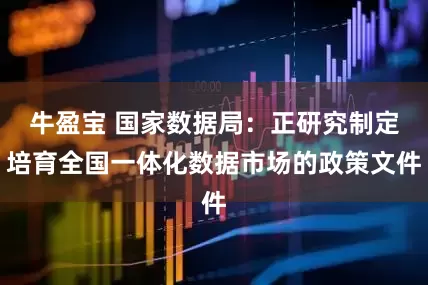 牛盈宝 国家数据局：正研究制定培育全国一体化数据市场的政策文件