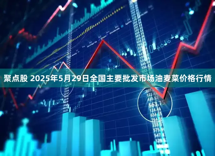 聚点股 2025年5月29日全国主要批发市场油麦菜价格行情