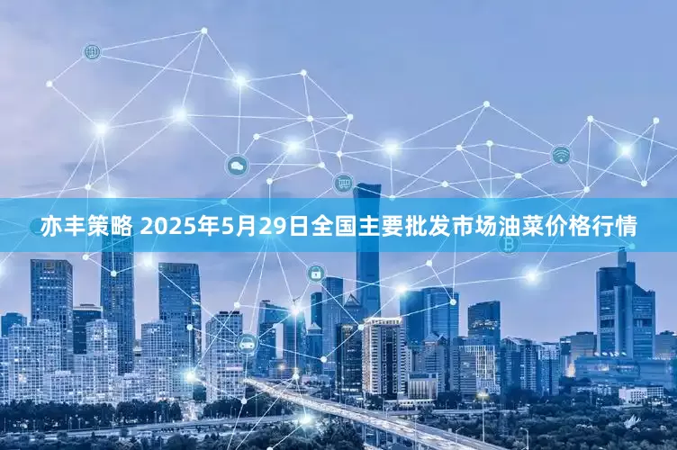 亦丰策略 2025年5月29日全国主要批发市场油菜价格行情