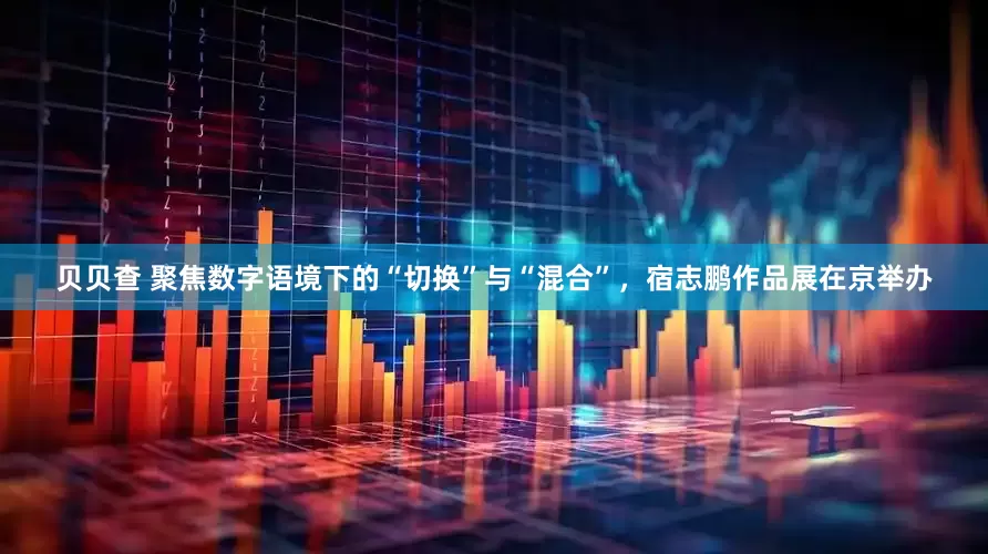 贝贝查 聚焦数字语境下的“切换”与“混合”，宿志鹏作品展在京举办